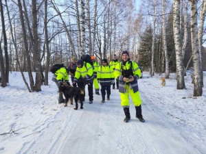 Акция Владая